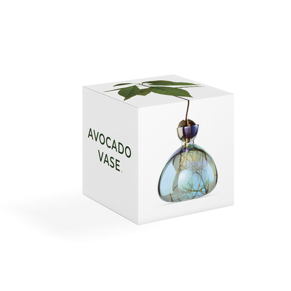 Avocado Vase: Cosmic Lyra - SFMOMA Museum Store