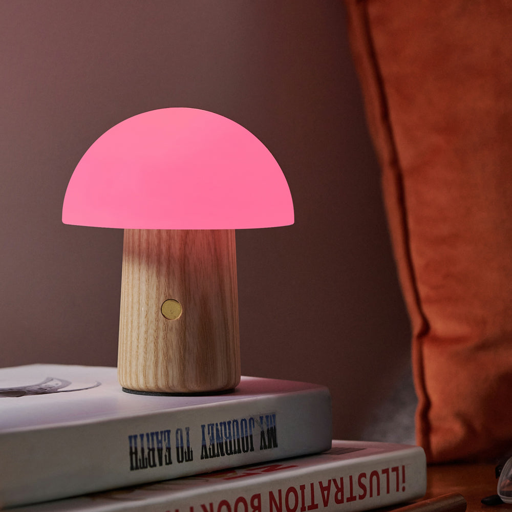 Lamp on top of books.