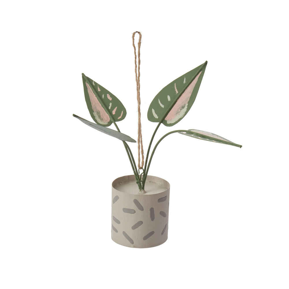 Philodendron Prized Plant Ornament