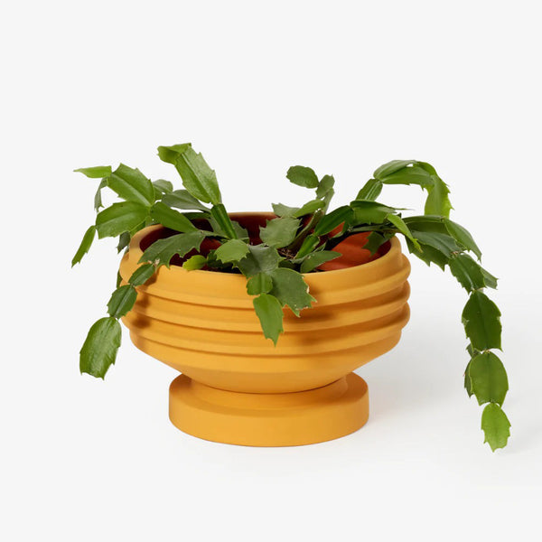 Strata Plant Vessel: Yellow - SFMOMA Museum Store