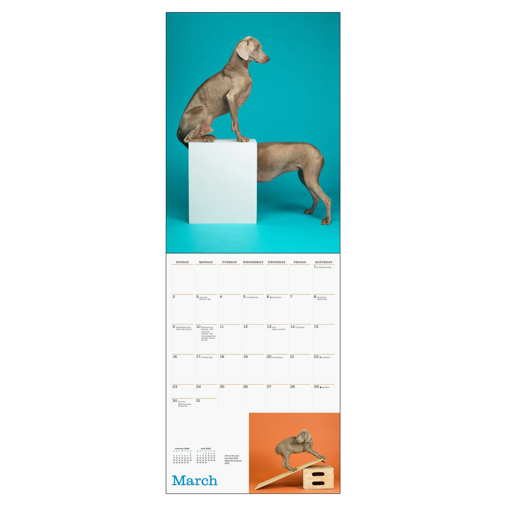 Interior of wall calendar with artwork and March month grid.