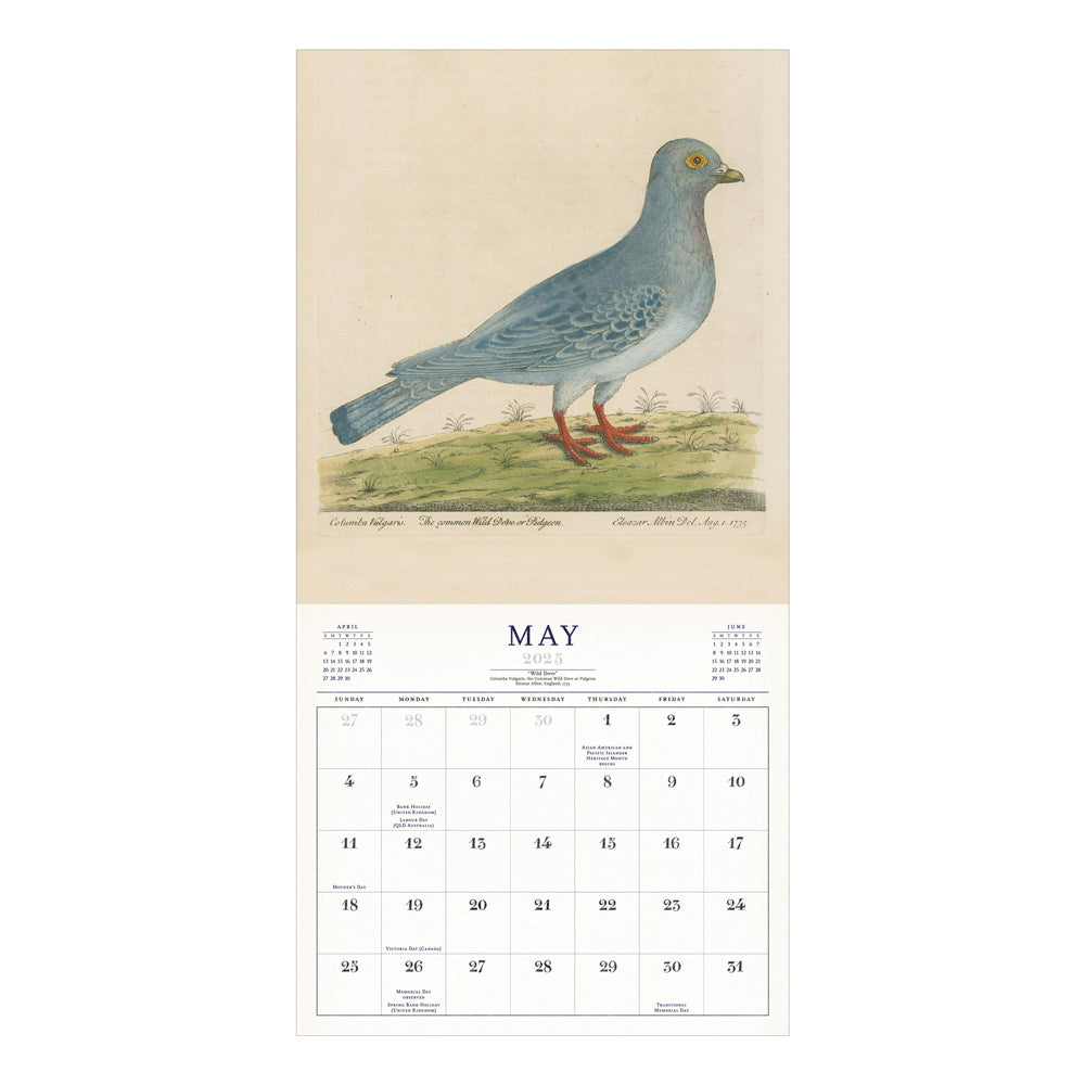 Interior of wall calendar with artwork and May month grid.