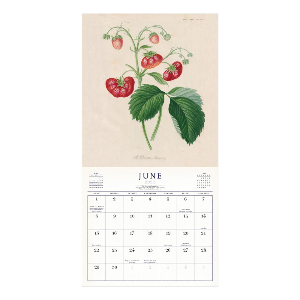 Interior of wall calendar with artwork and June month grid.