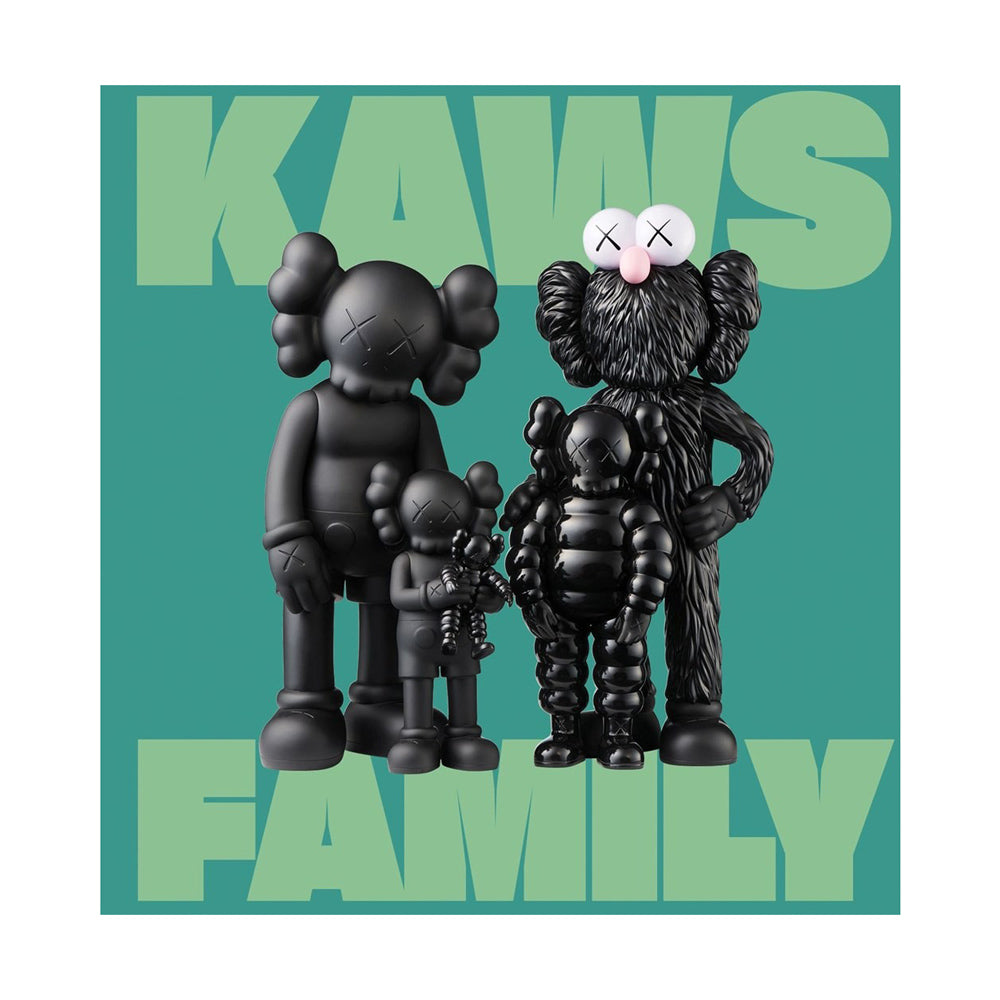Book cover of KAWS: Family.
