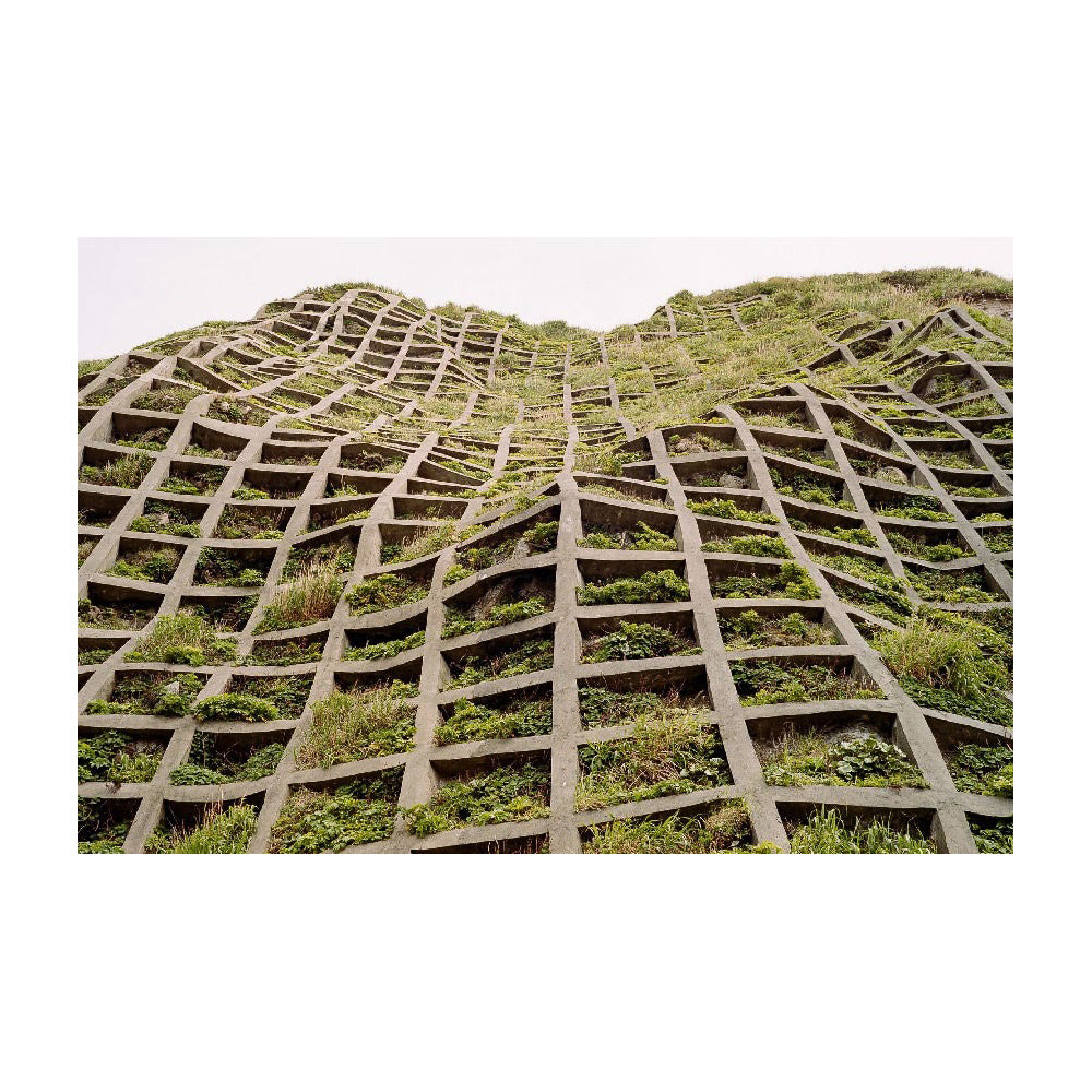 Front cover of Brutalist Plants.