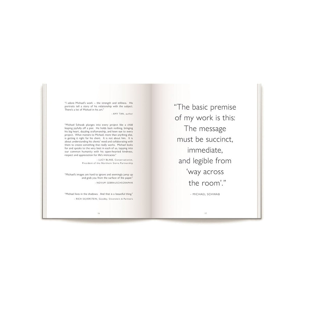 Front cover of Michael Schwab: Creating The Hero.