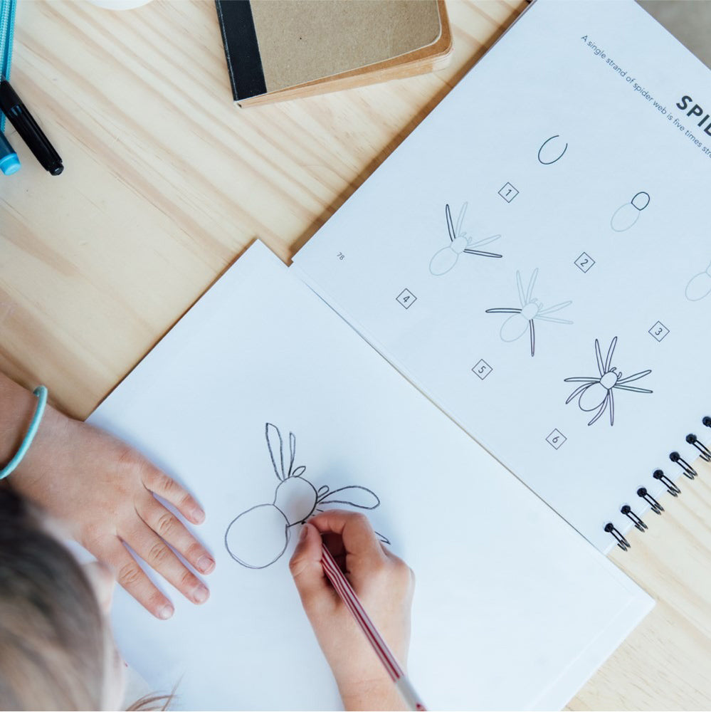 Person drawing a spider with a notebook showing step-by-step instructions.