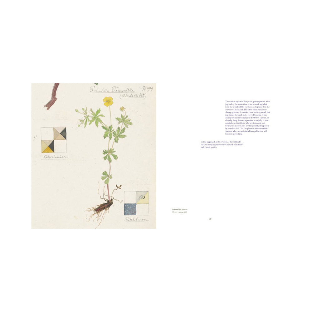 Book cover of 'Hilma af Klint: What Stands Behind the Flowers' with floral illustrations and text.