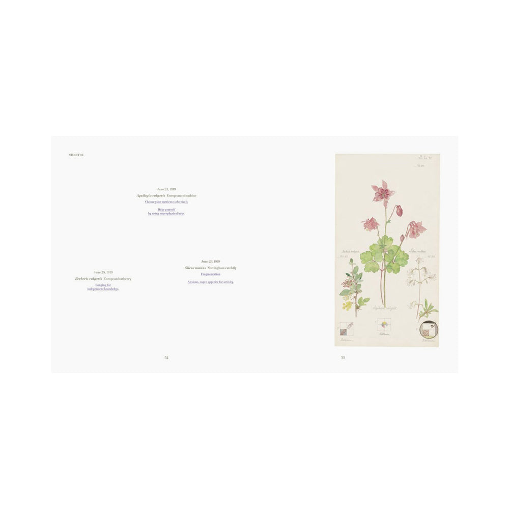 Interior page featuring text and plant  illustrations. 