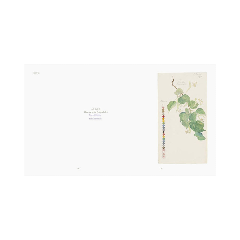 Interior page featuring text and plant  illustrations. 