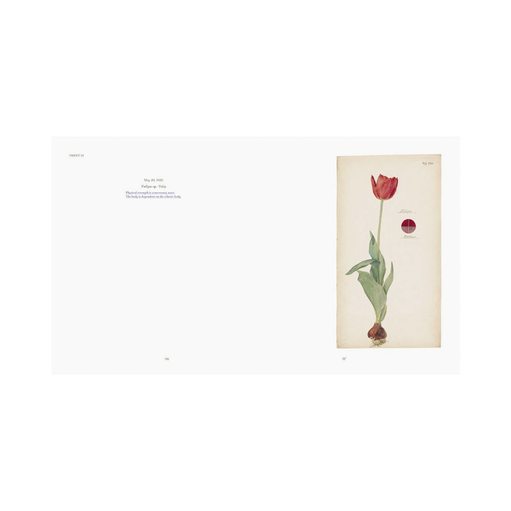 Interior page featuring text and tulip  illustration. 