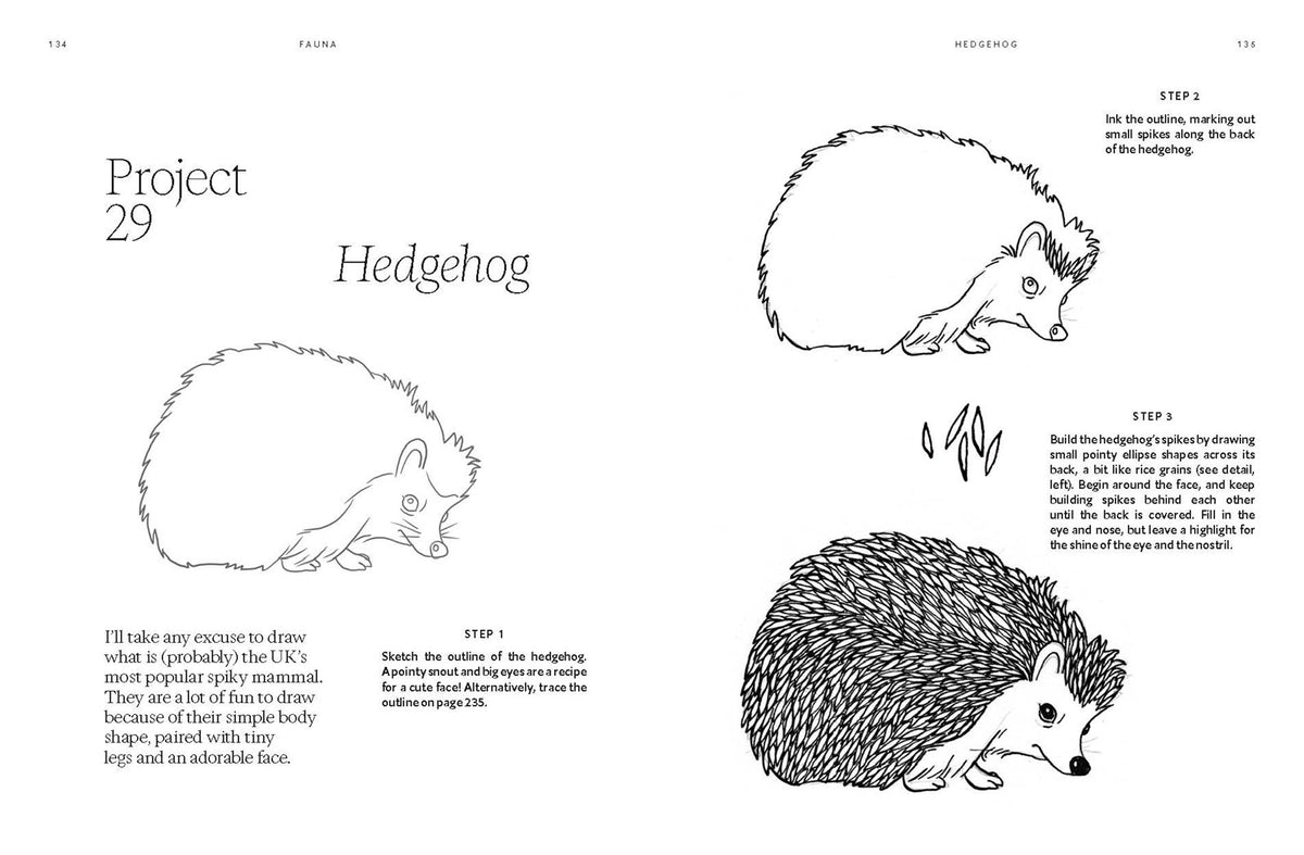 15 Minute Art Pen and Ink