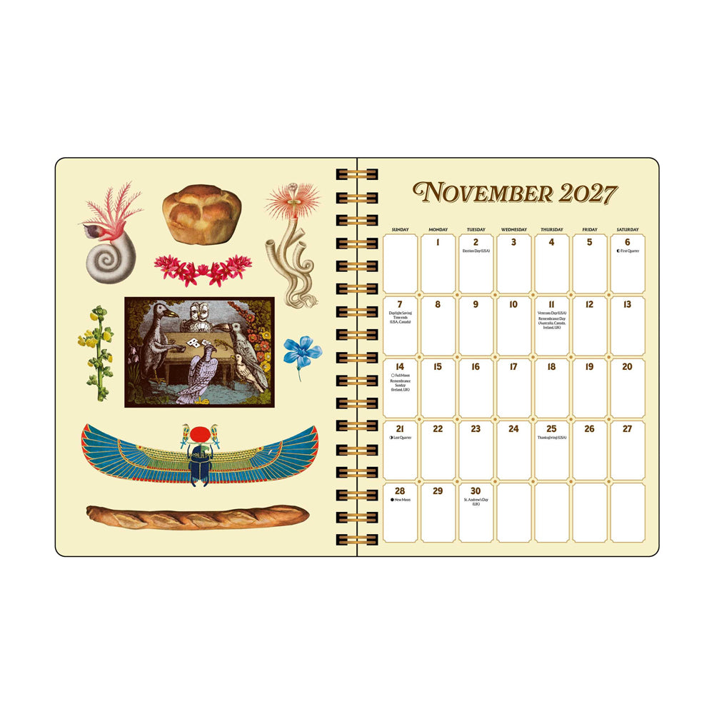 Interior spread: The left page features illustrations and right page features a calendar for the month of November.