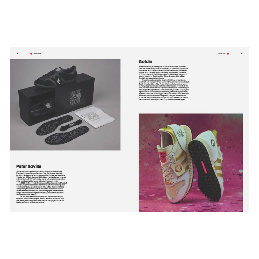 Layout with sneaker design on a pink background and black box with shoes inside.