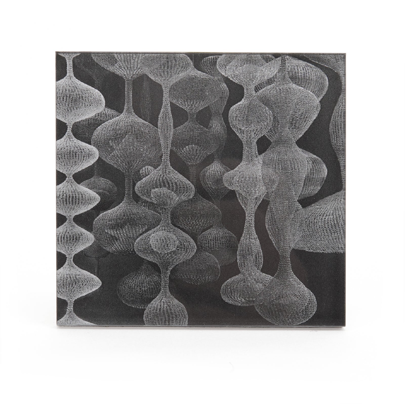 Ruth Asawa Magnet: Installation Hanging Looped Wire Sculptures front