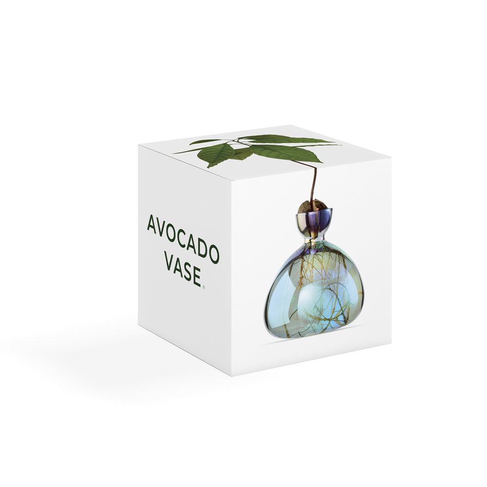 Avocado Vase: Cosmic Lyra