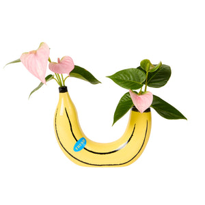 files/Banana-vase1_1000x_e92049bc-7305-49de-be2e-c9be7ec53ef1.jpg