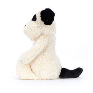 files/Bashful-Black-and-Cream-Puppy2_1000x_4ded69f4-fd9e-41ed-848b-a1181907e0f3.jpg