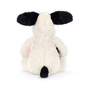 files/Bashful-Black-and-Cream-Puppy3_1000x_5e566d16-6d6a-46bc-a8bb-4bea0e1d5b09.jpg