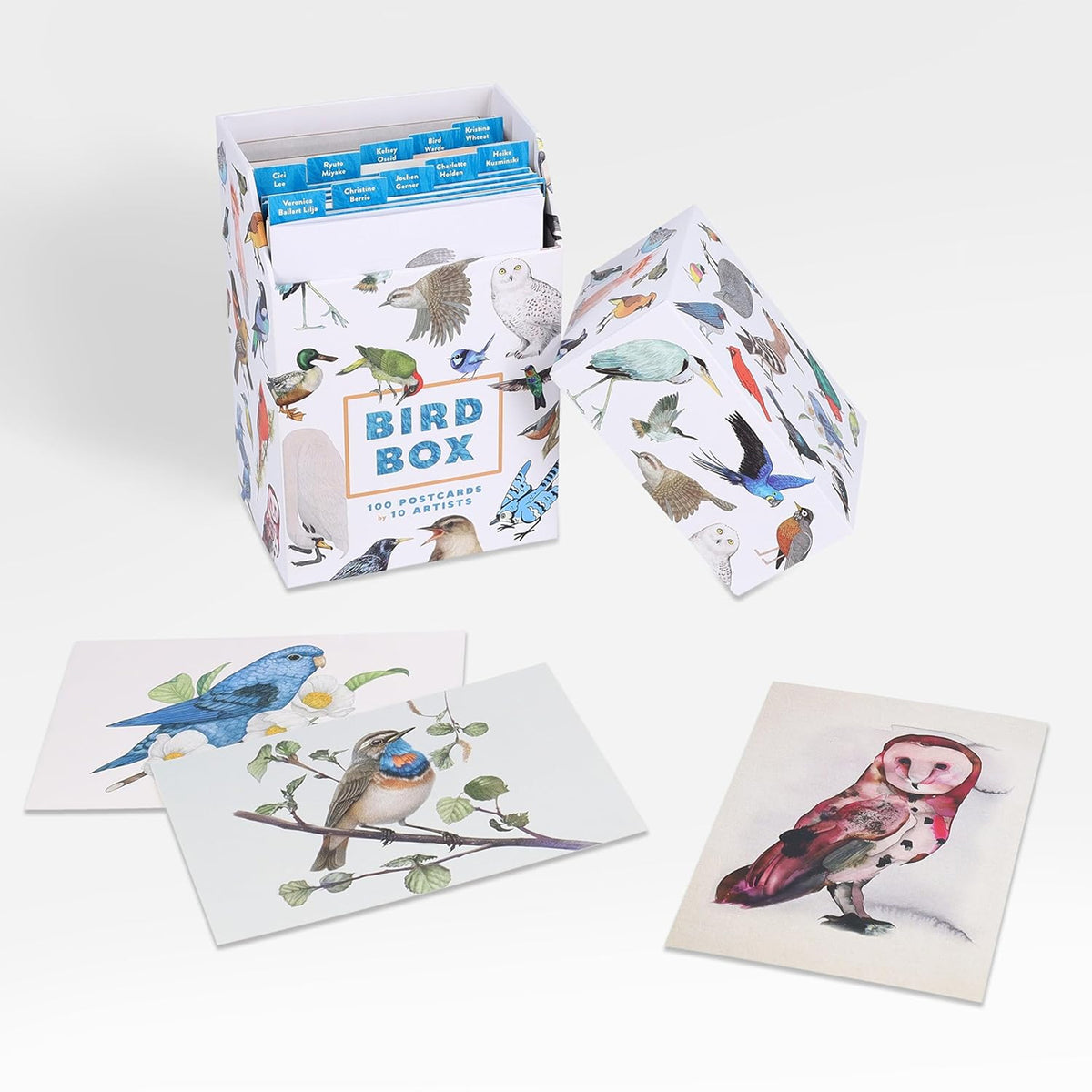Bird-themed postcards and packaging on a white background