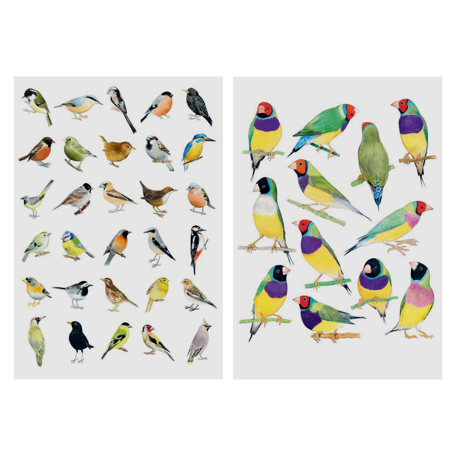 Bird Box: 100 Postcards by 10 Artists - SFMOMA Museum Store