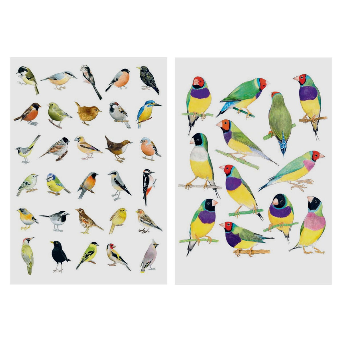 Two postcards of birds with various bird designs on a white background.