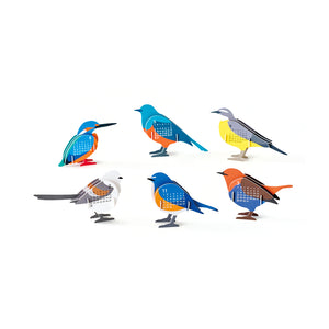 files/Birds2027_01_e.-1000X.jpg