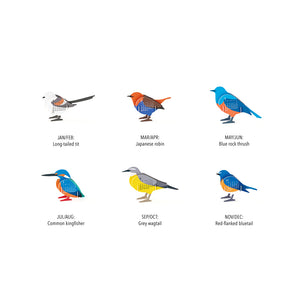 files/Birds2027_04_e.-1000x.jpg