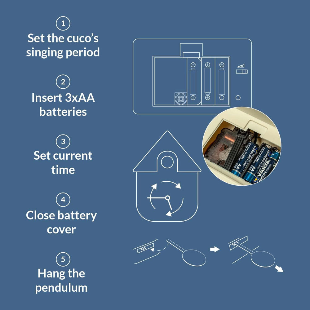 Instructions for setting up a cuckoo clock with battery insertion on a blue background