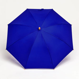 files/Blue-Duckling-Kids-Umbrella3_1200x_37c4a12a-1f00-4421-b8b8-700db38c8ae4.jpg