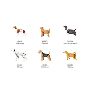 files/Dogs2027_04_e.-1000X.jpg