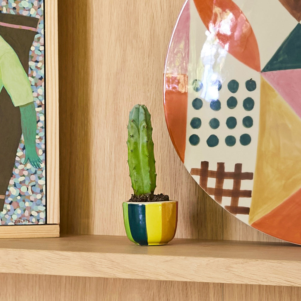 Colorful striped pot with a cactus on a wooden shelf against a geometric-patterned wall.