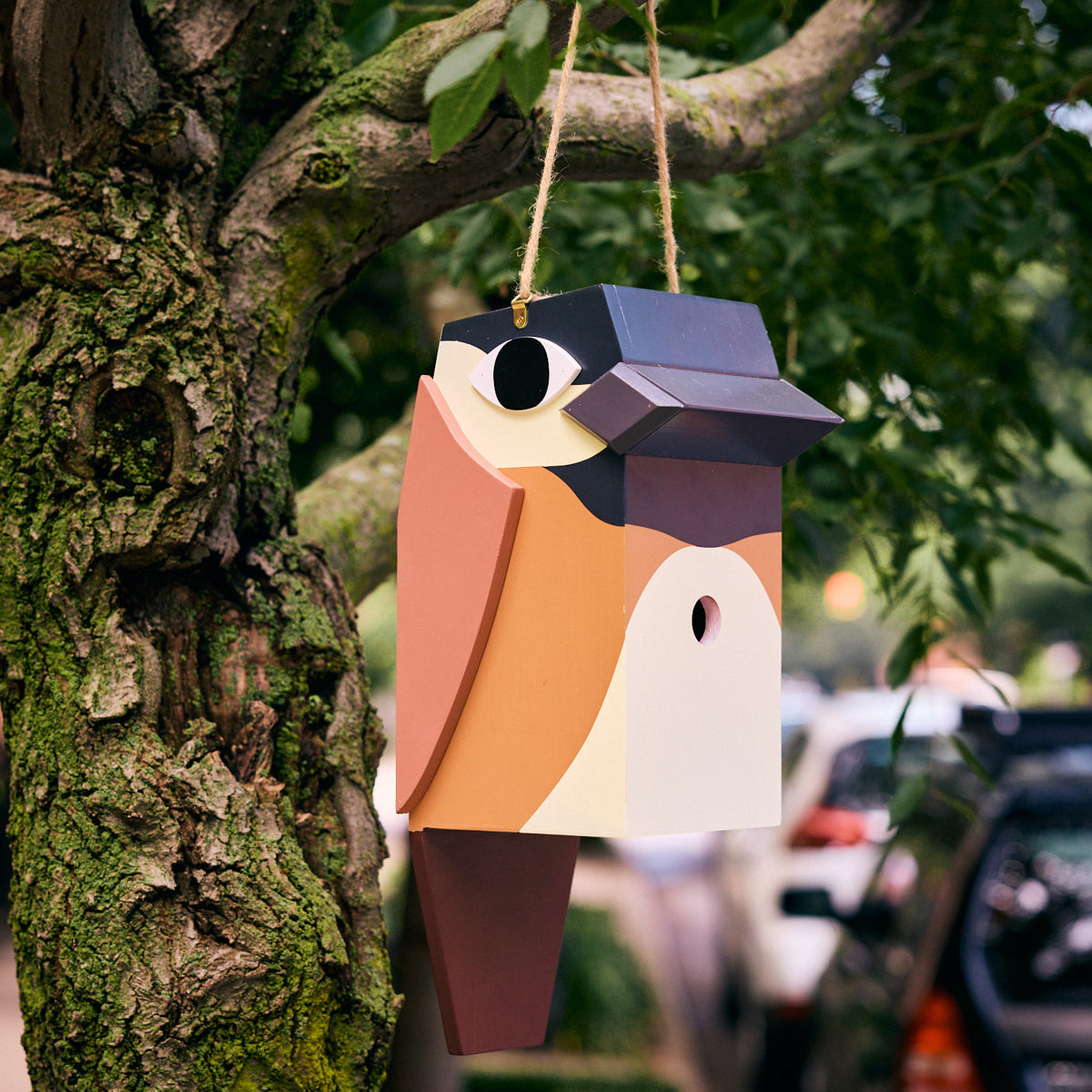 Colorful birdhouse hanging from a tree with a blurred street background