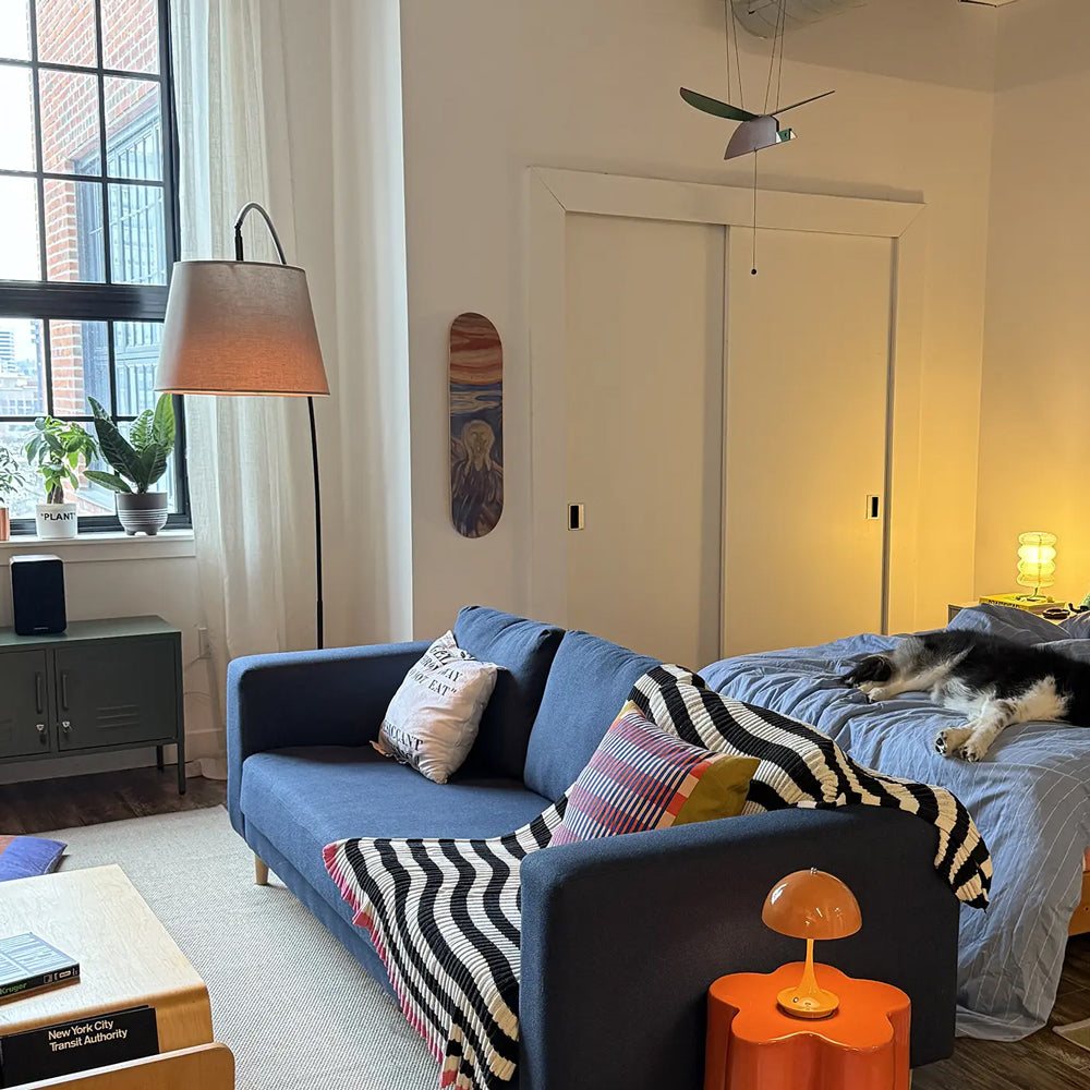 Living room with blue sofa, colorful pillows, and a dog on a bed.