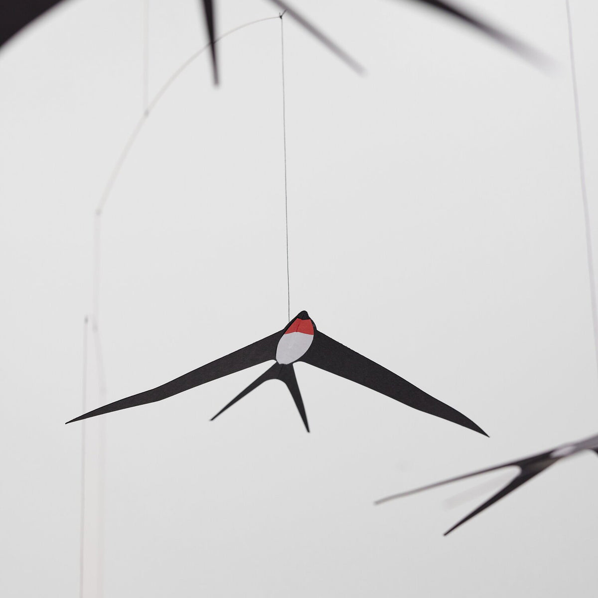 Close-up of a swallow with a minimalist design on a white background