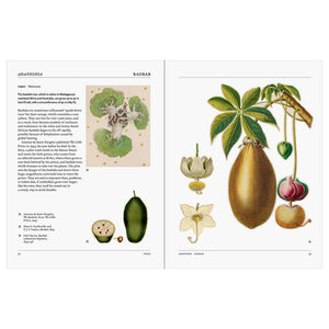 files/Flora-The-Secret-Language-of-Plants-in-Art-interior4_1000x_f9906799-4e14-4fbf-9e33-a6706dca98c6.jpg