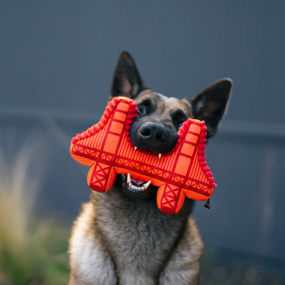 Golden Gate Bridge Dog Toy: Large - SFMOMA Museum Store