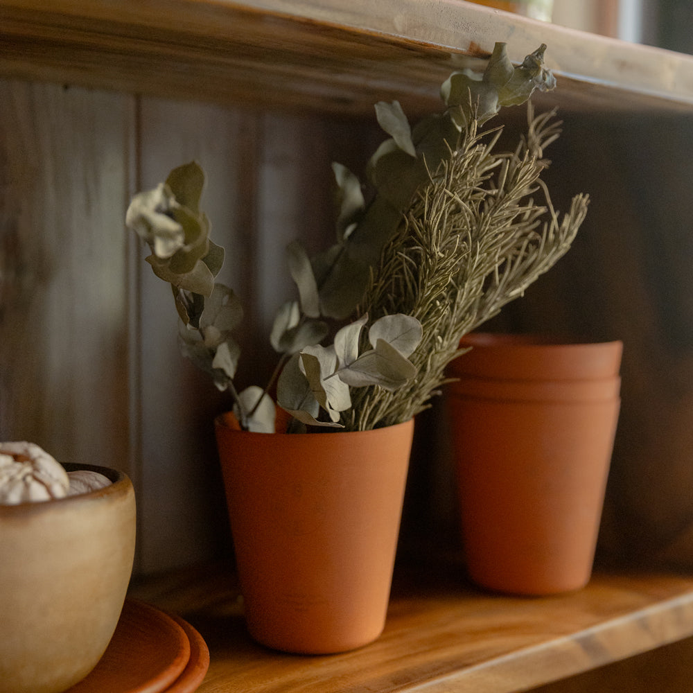 Herbs inside cup.