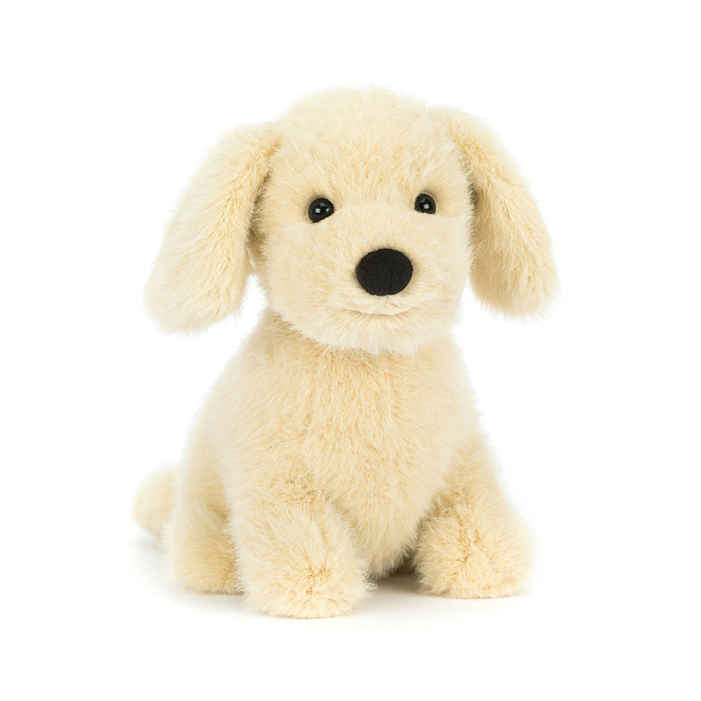 Plush toy dog on a white background
