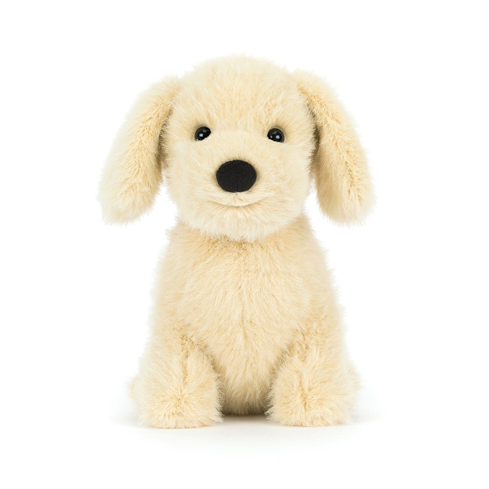 Plush toy dog on a white background