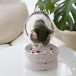 files/Halo-Tempo-Slowfeeder-Pet-Bowl3_1000x_f75c8835-449e-4e77-b266-b0378018c8a4.jpg