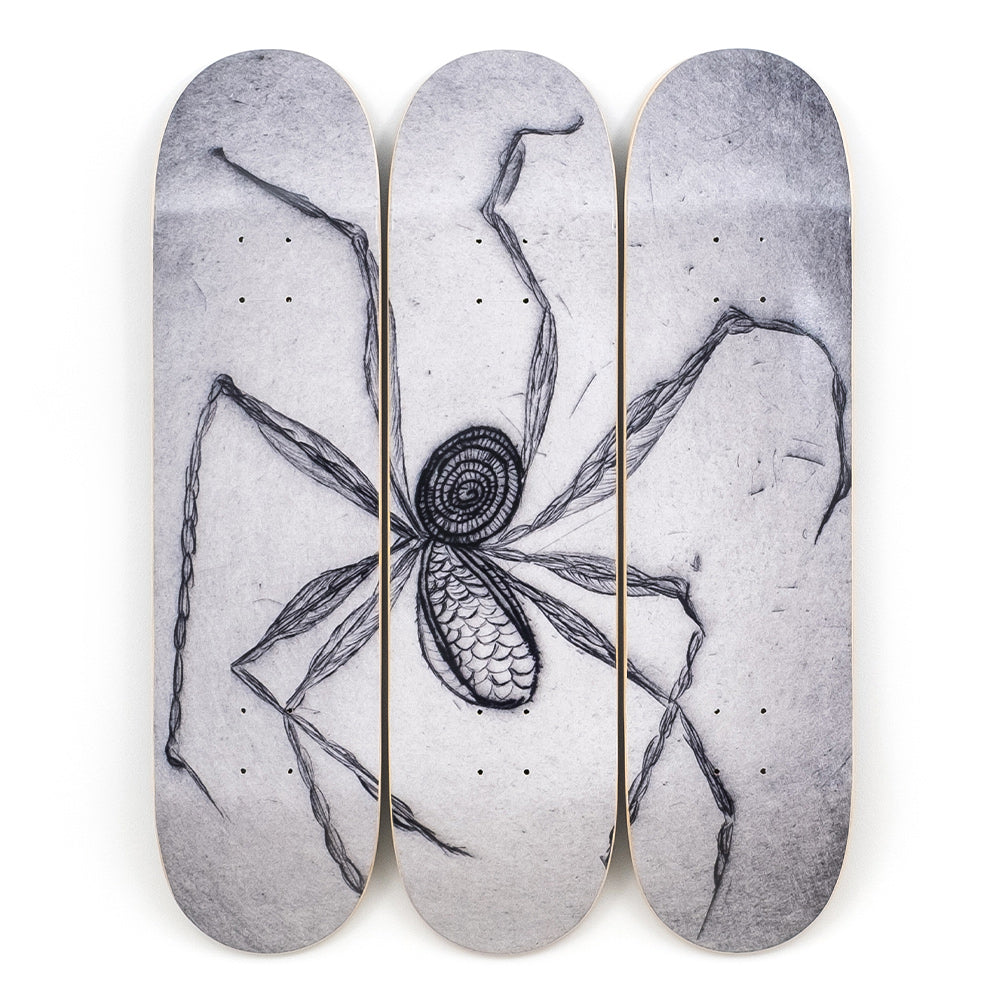 Front view triptych skateboards.