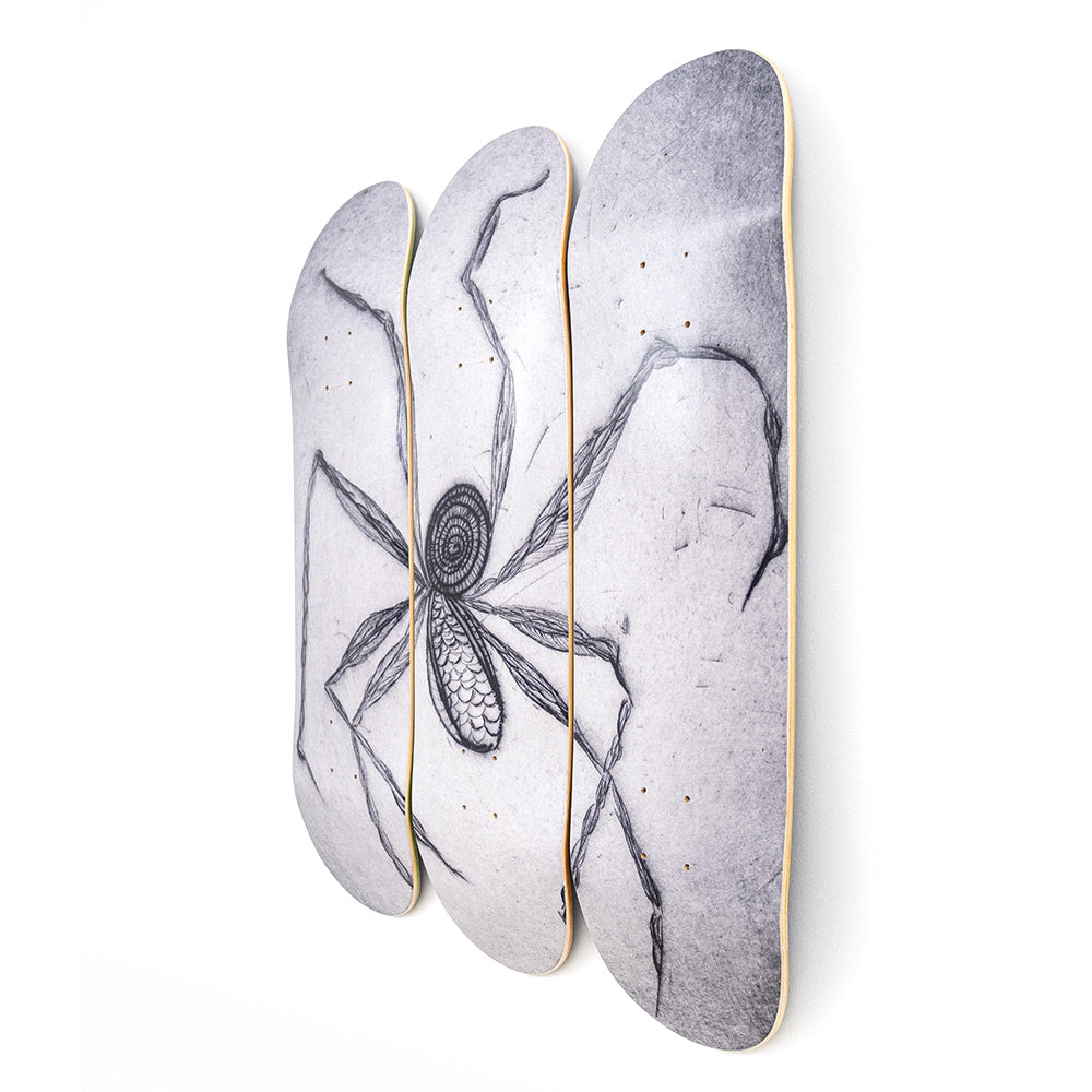 Front view triptych skateboards.