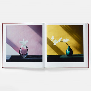 files/Mapplethorpe-Flora-The-Complete-Flowers-interior1_900x_a70fbea1-f420-4131-b14c-b609ebbe01cf.jpg