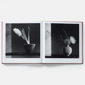 files/Mapplethorpe-Flora-The-Complete-Flowers-interior3_900x_8a80e001-04fa-4d03-826d-bdd61a0b54c2.jpg