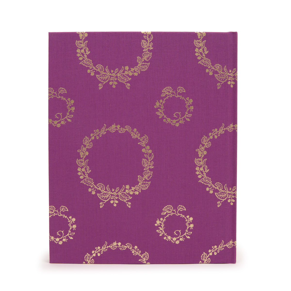 Matisse’s Femme au chapeau: 1905 to Today back cover on white
