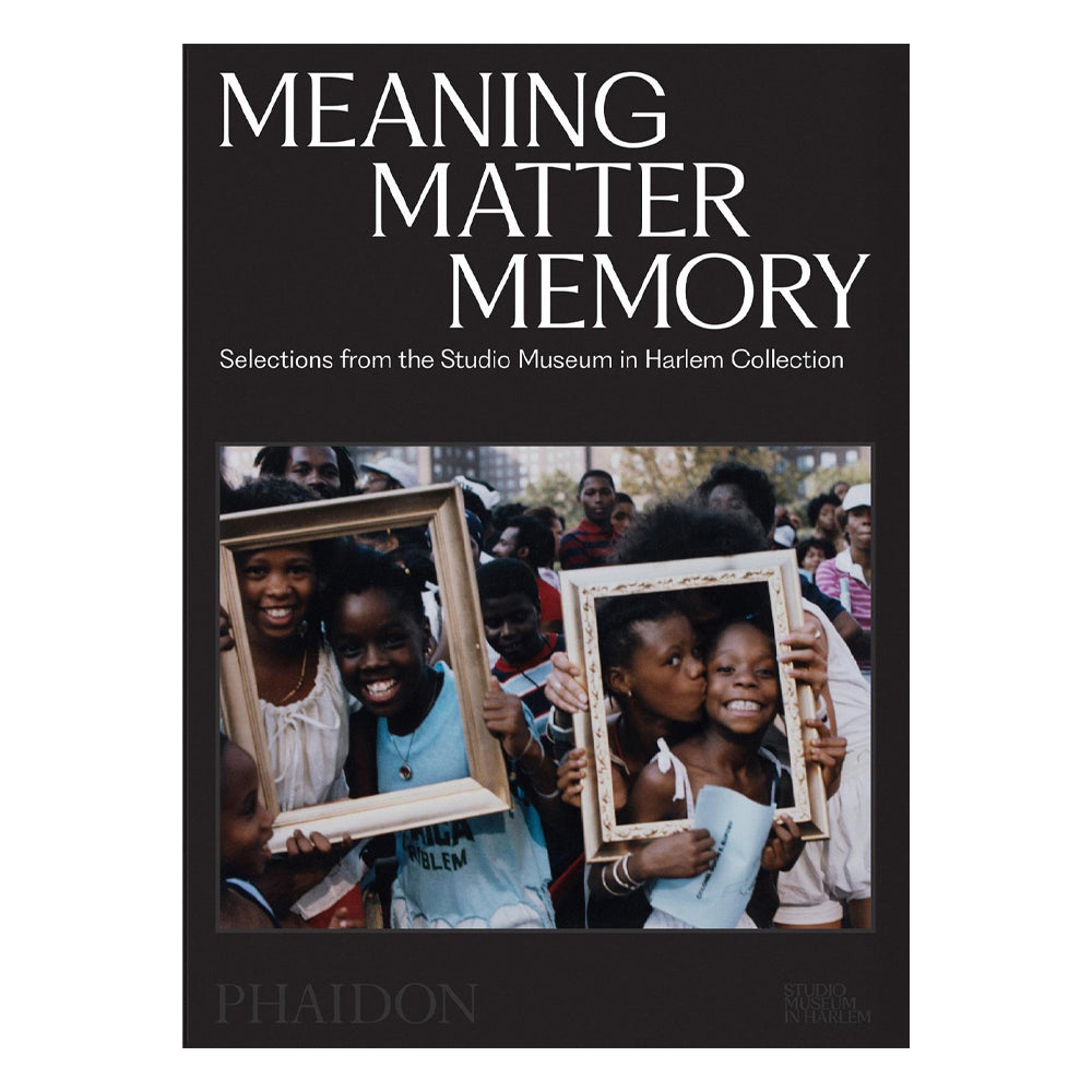 Book cover of 'Meaning Matter Memory' with children holding picture frames.