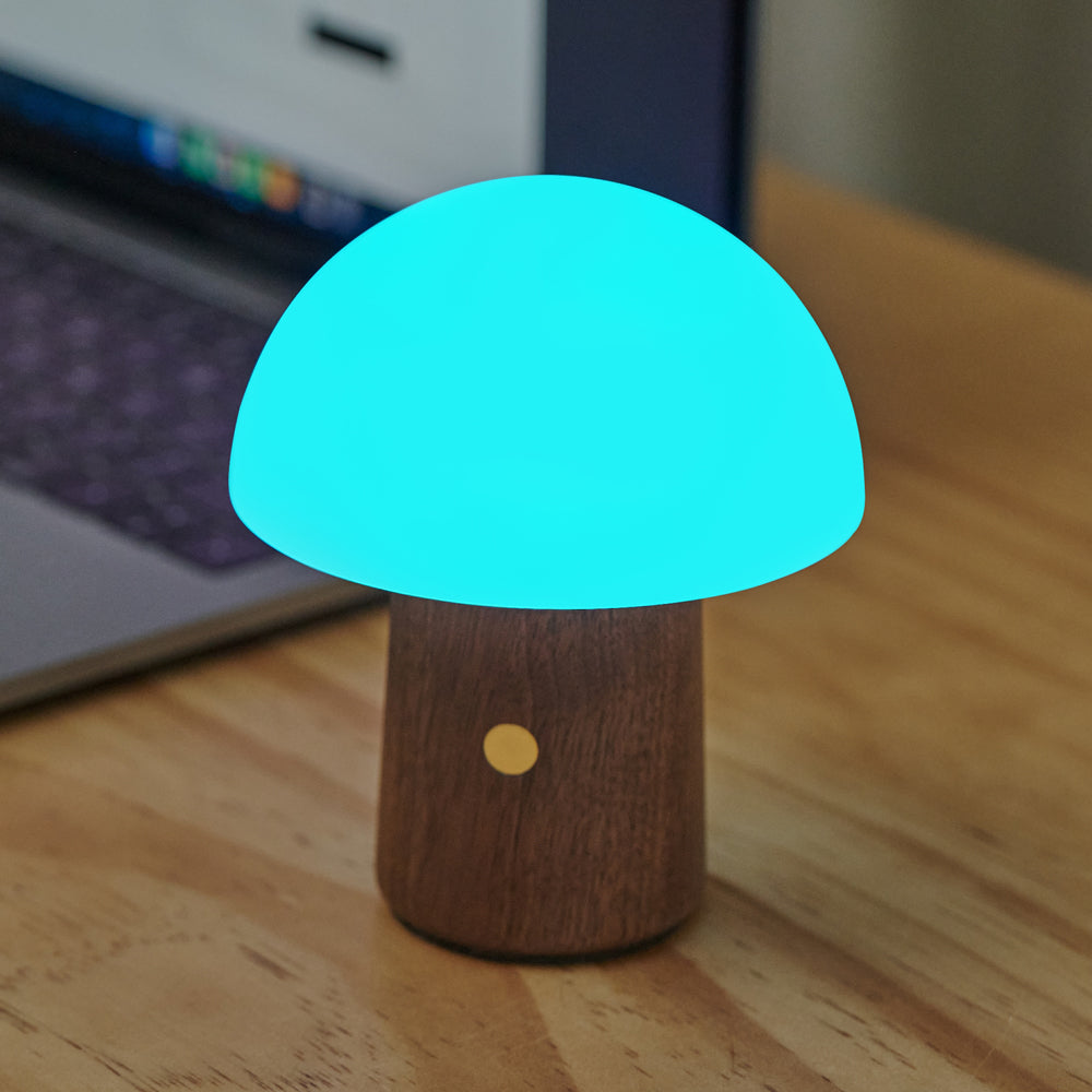 Mini lamp with blue light.