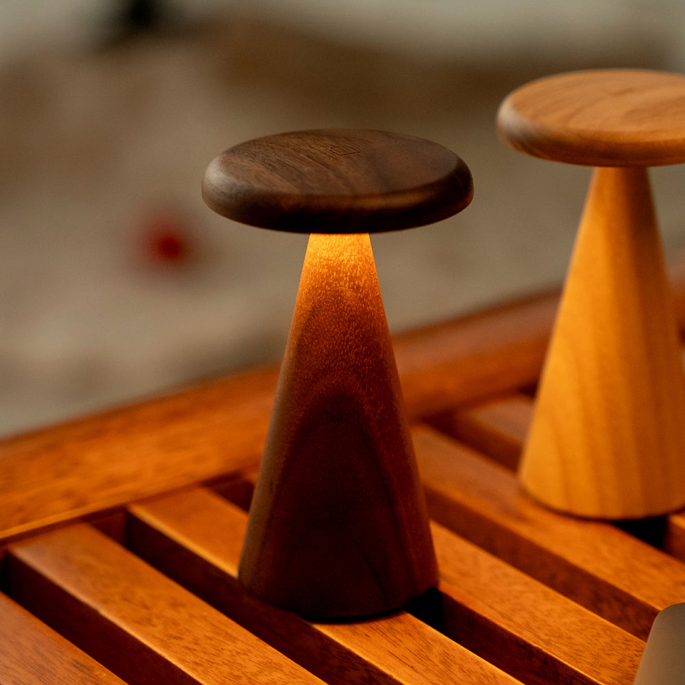 Two wooden lamps with a blurred background