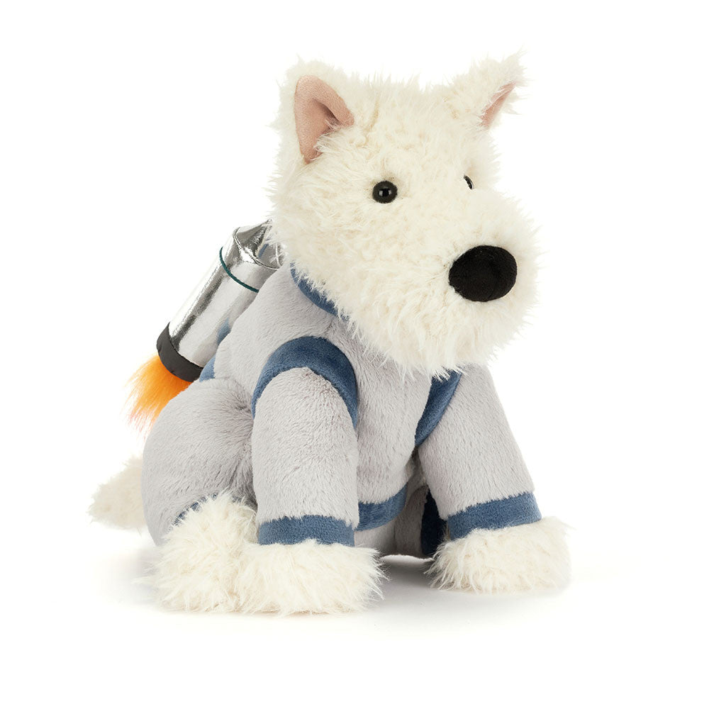 Plush toy dog in a sweater on a white background